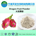 100% natural dragon fruit powder/dragon fruit juice powder